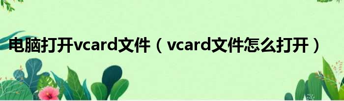 电脑打开vcard文件（vcard文件怎么打开）