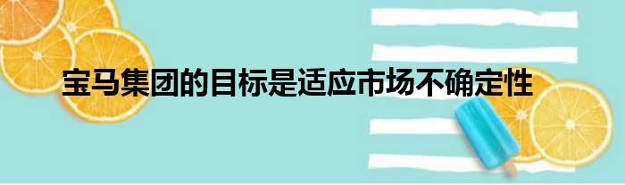 宝马集团的目标是适应市场不确定性