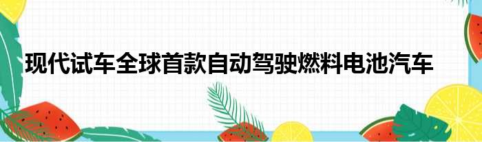 现代试车全球首款自动驾驶燃料电池汽车