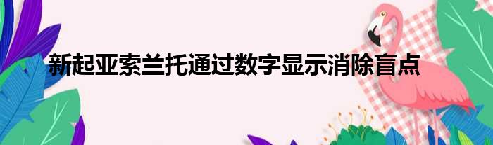 新起亚索兰托通过数字显示消除盲点