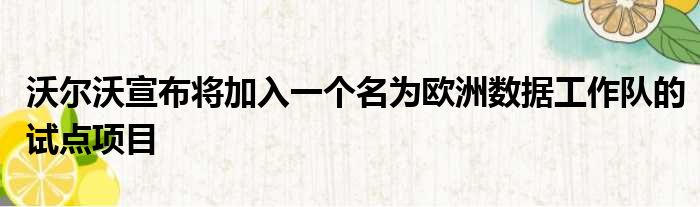 沃尔沃宣布将加入一个名为欧洲数据工作队的试点项目