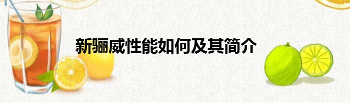 新骊威性能如何及其简介