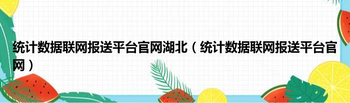 统计数据联网报送平台官网湖北（统计数据联网报送平台官网）