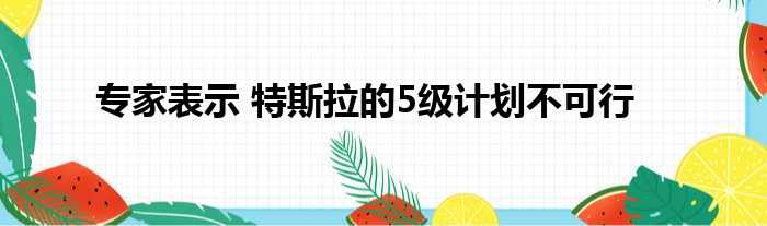 专家表示 特斯拉的5级计划不可行