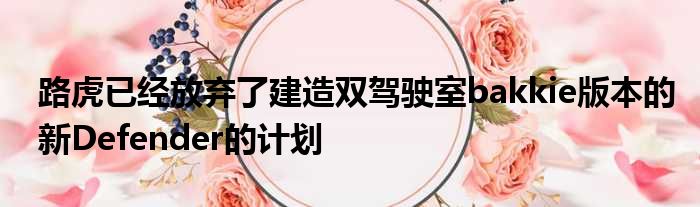 路虎已经放弃了建造双驾驶室bakkie版本的新Defender的计划