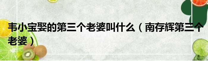 韦小宝娶的第三个老婆叫什么（南存辉第三个老婆）