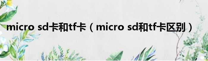 micro sd卡和tf卡（micro sd和tf卡区别）