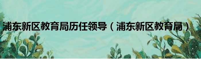 浦东新区教育局历任领导（浦东新区教育局）