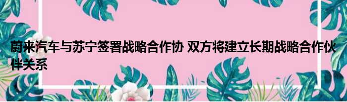 蔚来汽车与苏宁签署战略合作协 双方将建立长期战略合作伙伴关系