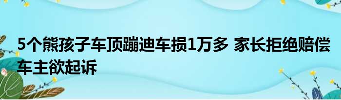 5个熊孩子车顶蹦迪车损1万多 家长拒绝赔偿车主欲起诉