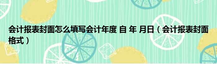 会计报表封面怎么填写会计年度 自 年 月日（会计报表封面格式）