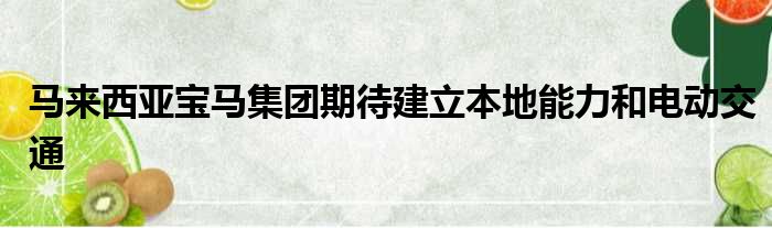 马来西亚宝马集团期待建立本地能力和电动交通