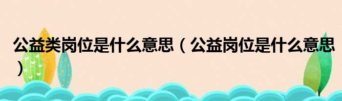 公益类岗位是什么意思（公益岗位是什么意思）