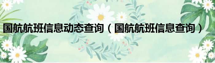 国航航班信息动态查询（国航航班信息查询）