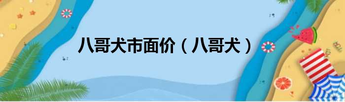 八哥犬市面价（八哥犬）