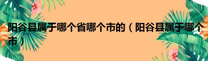 阳谷县属于哪个省哪个市的（阳谷县属于哪个市）