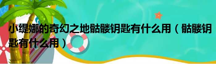 小缇娜的奇幻之地骷髅钥匙有什么用（骷髅钥匙有什么用）