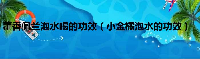 藿香佩兰泡水喝的功效（小金橘泡水的功效）