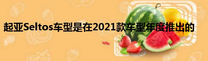 起亚Seltos车型是在2021款车型年度推出的