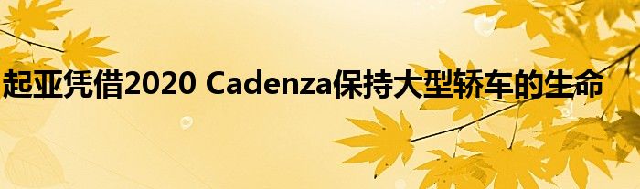 起亚凭借2020 Cadenza保持大型轿车的生命