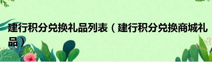 建行积分兑换礼品列表（建行积分兑换商城礼品）