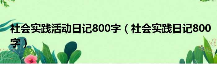 社会实践活动日记800字（社会实践日记800字）