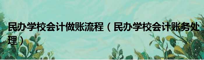 民办学校会计做账流程（民办学校会计账务处理）