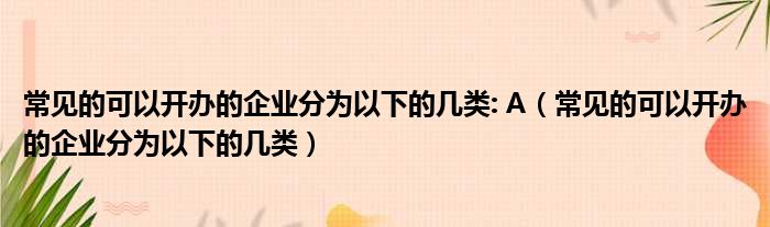 常见的可以开办的企业分为以下的几类: A（常见的可以开办的企业分为以下的几类）