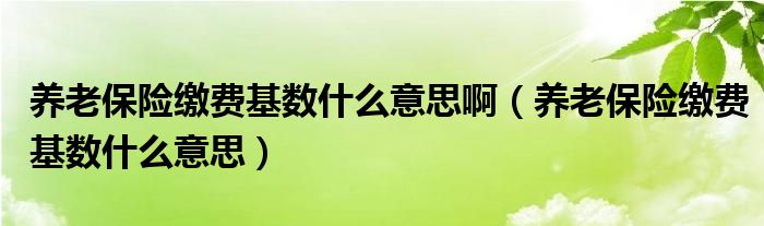 养老保险缴费基数什么意思啊（养老保险缴费基数什么意思）