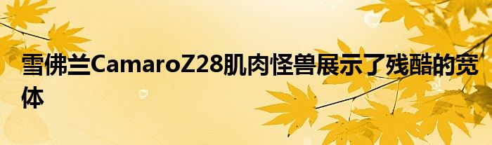 雪佛兰CamaroZ28肌肉怪兽展示了残酷的宽体