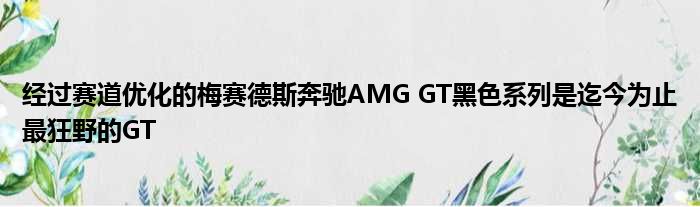 经过赛道优化的梅赛德斯奔驰AMG GT黑色系列是迄今为止最狂野的GT