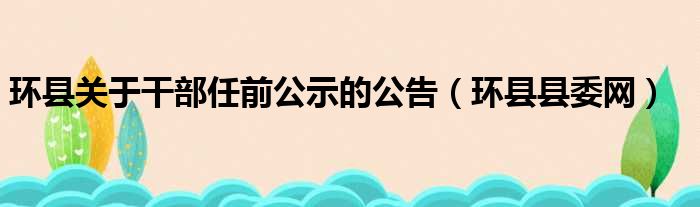 环县关于干部任前公示的公告（环县县委网）