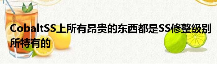 CobaltSS上所有昂贵的东西都是SS修整级别所特有的