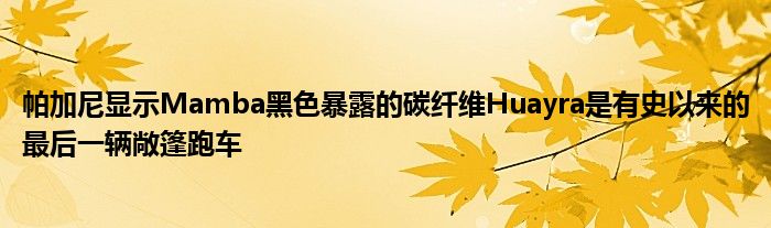 帕加尼显示Mamba黑色暴露的碳纤维Huayra是有史以来的最后一辆敞篷跑车