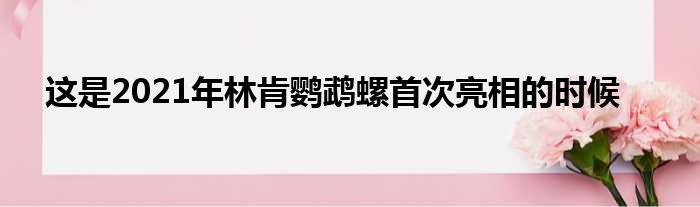 这是2021年林肯鹦鹉螺首次亮相的时候