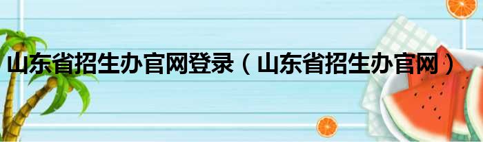 山东省招生办官网登录（山东省招生办官网）