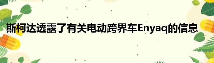 斯柯达透露了有关电动跨界车Enyaq的信息