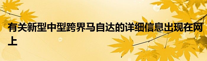 有关新型中型跨界马自达的详细信息出现在网上