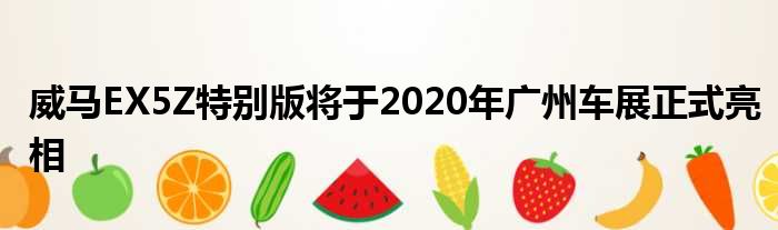 威马EX5Z特别版将于2020年广州车展正式亮相