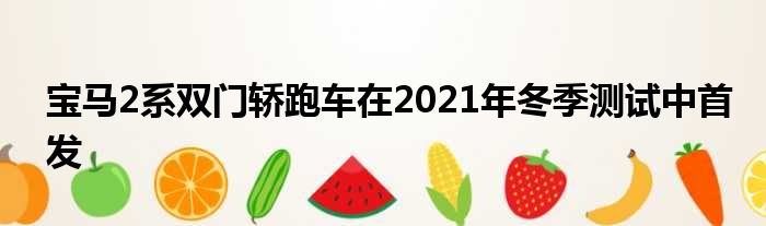 宝马2系双门轿跑车在2021年冬季测试中首发