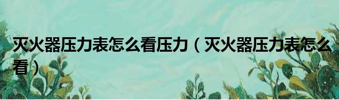 灭火器压力表怎么看压力（灭火器压力表怎么看）