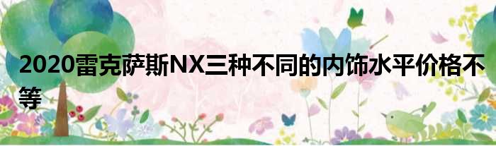 2020雷克萨斯NX三种不同的内饰水平价格不等