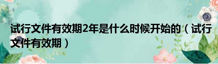 试行文件有效期2年是什么时候开始的（试行文件有效期）