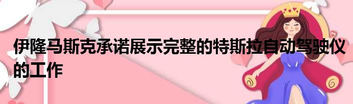 伊隆马斯克承诺展示完整的特斯拉自动驾驶仪的工作