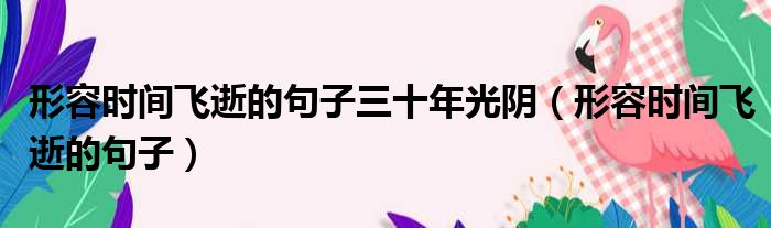 形容时间飞逝的句子三十年光阴（形容时间飞逝的句子）