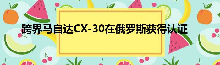 跨界马自达CX-30在俄罗斯获得认证