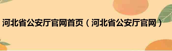 河北省公安厅官网首页（河北省公安厅官网）