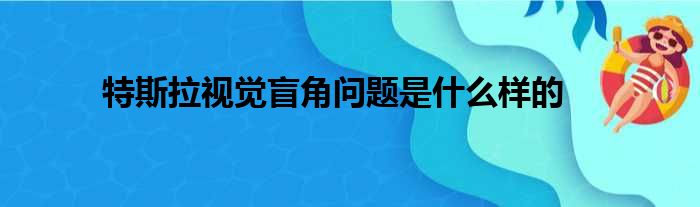 特斯拉视觉盲角问题是什么样的