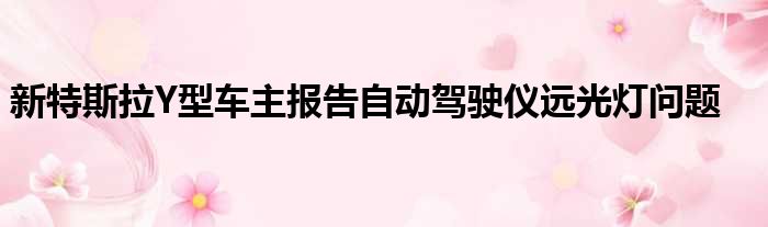 新特斯拉Y型车主报告自动驾驶仪远光灯问题