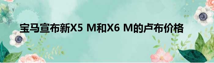 宝马宣布新X5 M和X6 M的卢布价格